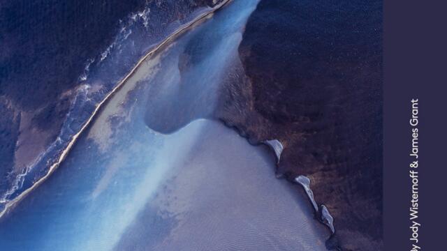 A Long Way From Home (Jody Wisternoff & James Grant Remix (Mixed))