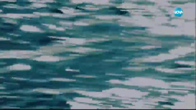 Островът на Ним (2008) (бг аудио) (част 1) TV Rip NOVA 23.03.2024