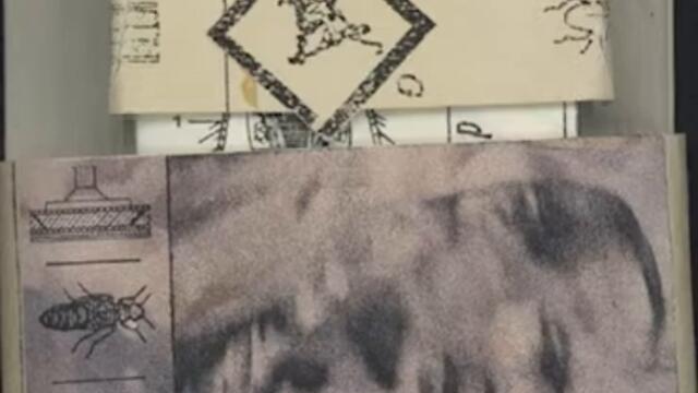 Lassigue Bendthaus - The Engineers Love (1988, EBM & Minimal Synth) (FULL ALBUM)