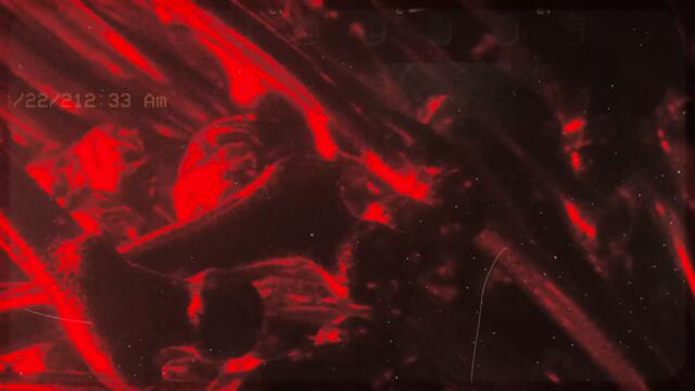 Luminite - METAL_&_BLOOD (CYBERGORE REMIX) (Official Video)