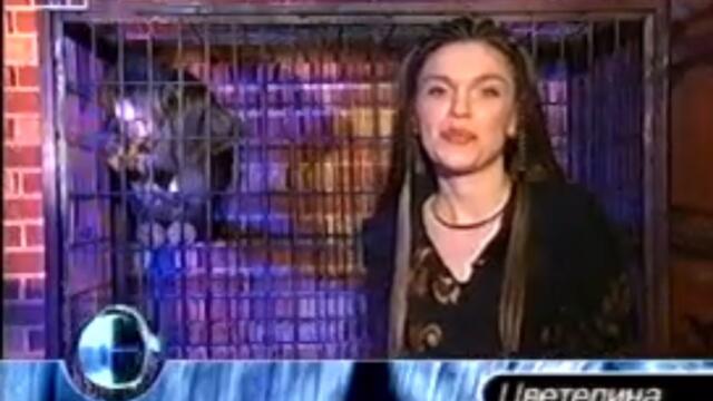 БНТ-Канал 1: Елит-Цветелина (2008)