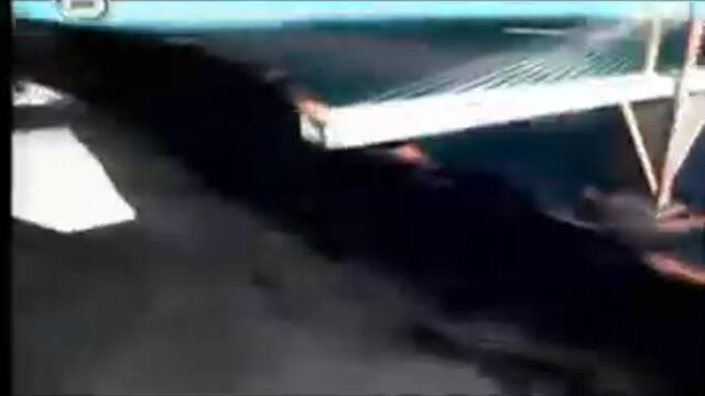 Дунав мост 2 (1)