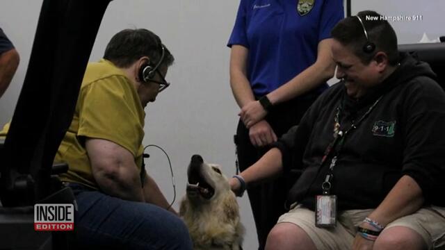 Comfort Dog Joins New Hampshire 911 Call Center Team