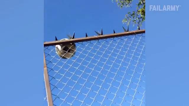 Funny Instant Karma Fails!🤣