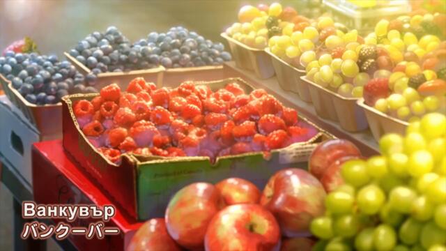 [ bg sub ] Attakai Fuyu Canada