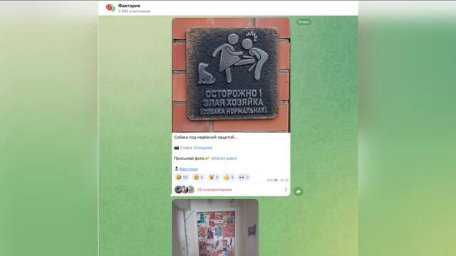 Низкие люди легко поймут эти проблемы (#87)