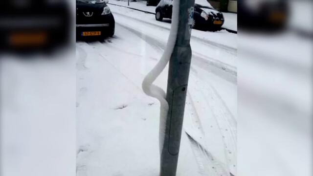 Ситуации из альтернативной реальности (#84)