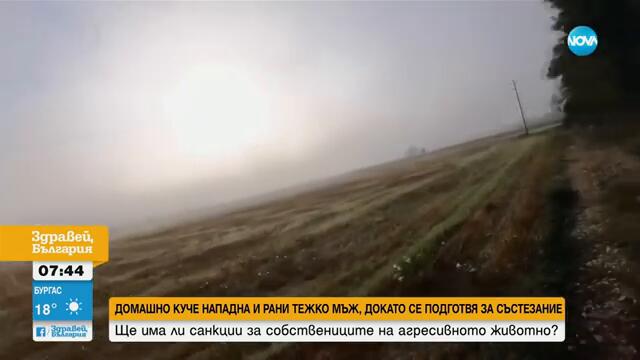 Домашно куче нападна и рани тежко мъж, докато се подготвя за състезание