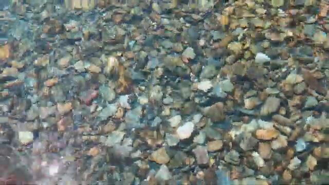 Raoul Vignal - Icarus [OFFICIAL VIDEO]