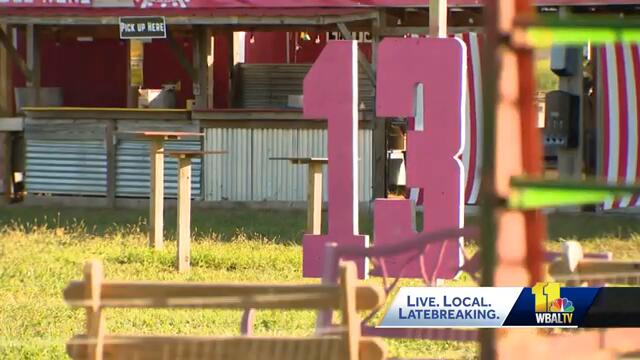 Taylor Swift-themed corn maze to open in Gambrills