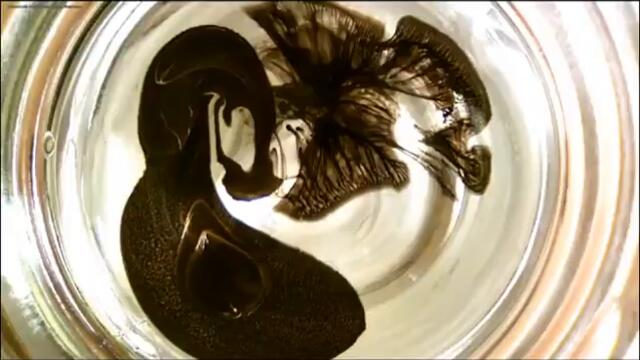 MTV station ID - Broadcast version