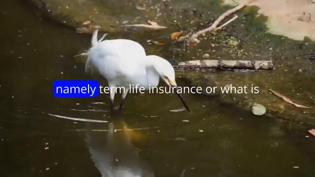 Insurance and investment mixed DON'T