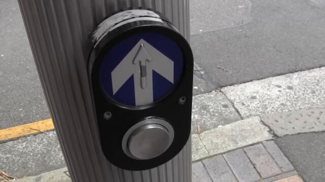 Pedestrian Crossing in Sydney Australia