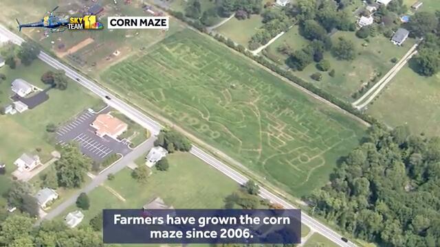 Taylor Swift-themed Maryland Corn Maze to open in September