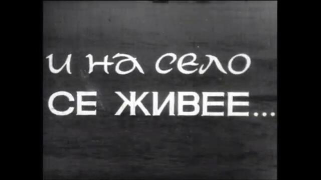 Град Брегово, началото на 70 те години