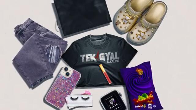 Alkaline - Tek A Gyal (Official Visualizer)