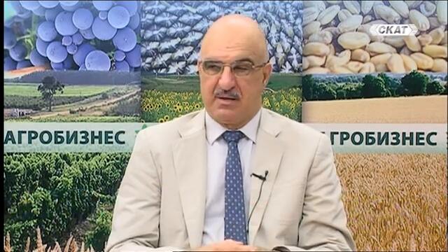 БЪЛГАРИЯ ЗАКРИВА ВИНОПРОИЗВОДСТВОТО СИ! А СВЕТЪТ Е ЖАДЕН ЗА ВИНО!
