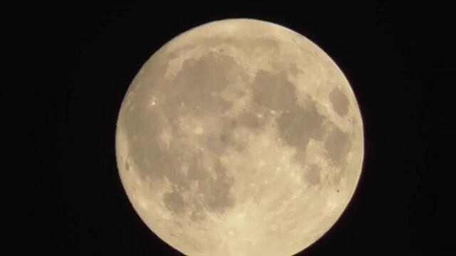 17 09 24 Полнолуние и птички