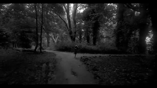 Massive Wagons - The Good Die Young (feat. Colin Doran) [Official Video]