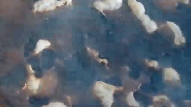 ПОЛНОЛУНИЕ прошло не зря!