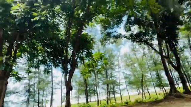 coxbazar vlog | Arnob Vevo | Arnob Vevo Vlog | New Video