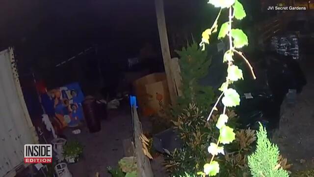 Suspect Dressed Like a Clown Breaks Into Gardening Center