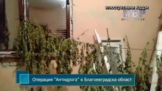 Операция “Антидрога” в Благоевградска област