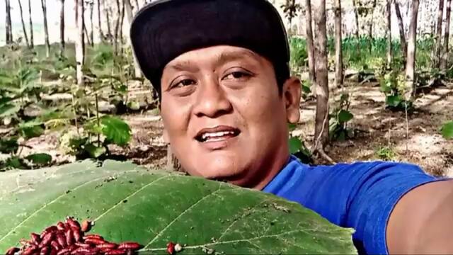 NONTON SEDEKAH BUMI RASA KARNAVAL MARGOMULYO BALEN BOJONEGORO SERU KROYOKAN HASIL BUMI