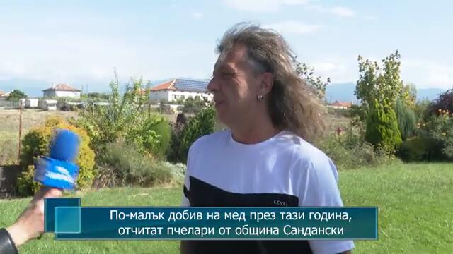 По-малък добив на мед през тази година, отчитат пчелари от община Сандански