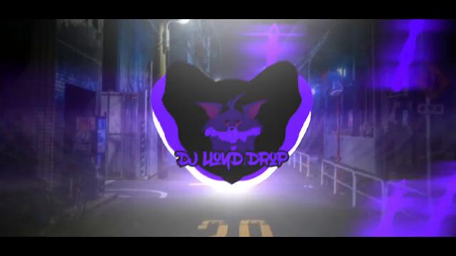 DJ Starlight x Stereo Love Viral 2024 (DJ Lloyd Drop Remix)