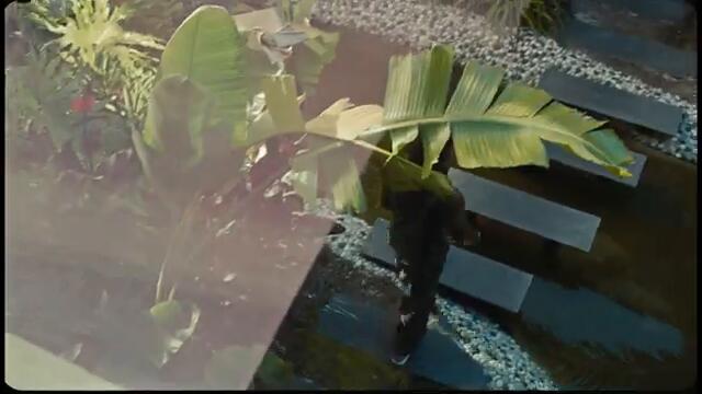 Wiz Khalifa - Khalifa's Home [Official Music Video]
