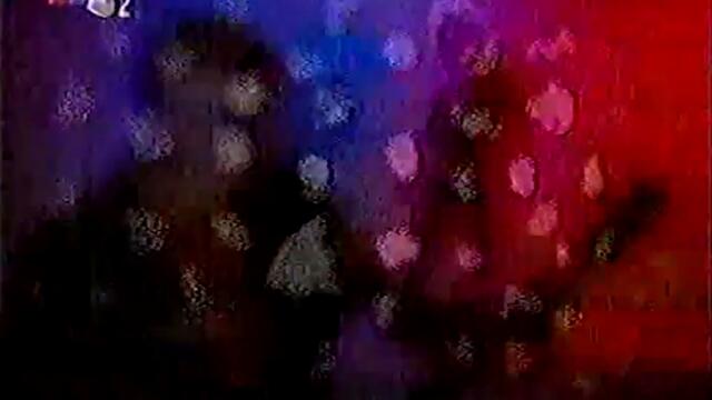Vox (Izolda Barudzija) - Ti si stvarno lud