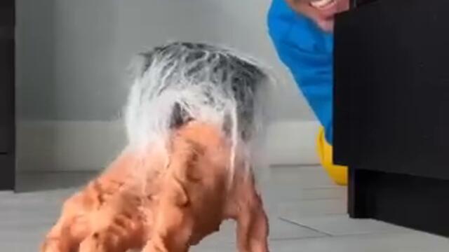 Monster scary hand prank 🤣👻 #shorts