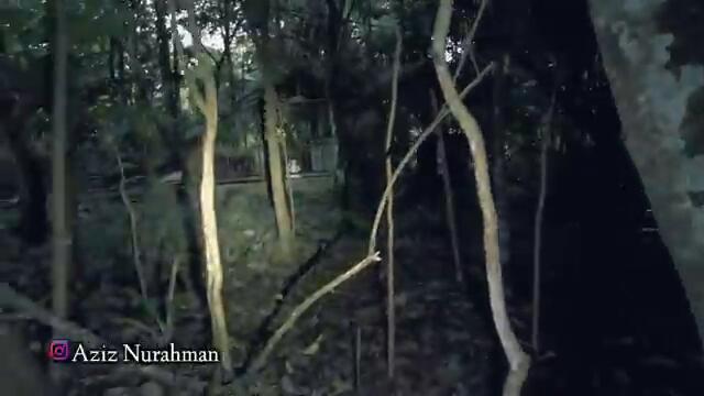 TERSESAT DI HUTAN MISTERIUS!! 15 TAHUN PILIH TINGGAL SENDIRI BIKIN RUMAH DI HUTAN ANEH