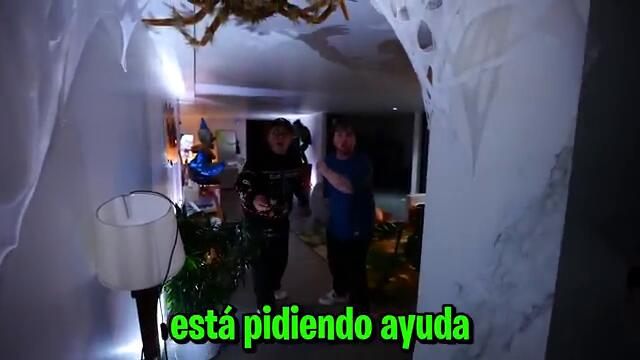 ALFA LLEGÓ A MI CASA