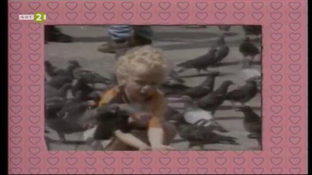 65 години БНТ: Следи от спомени - За животните с любов (2003) TV Rip БНТ 2 10.11.2024