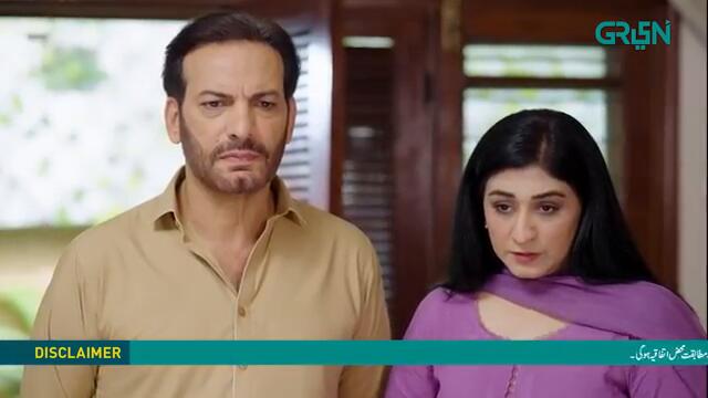 Shehzadi House Episode 29 [ENG CC] Nawal Saeed | Omer Shahzad | 7th November 2024 | Green TV