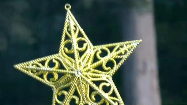 Gareth Campbell - Delicious Orange (Official Music Video)