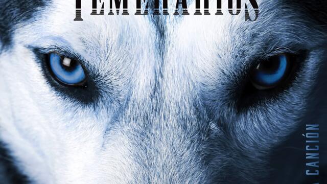 Los Temerasios - Eres un Sueño (Audio)