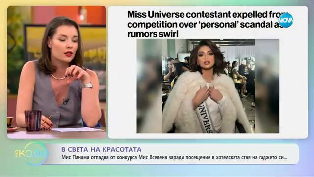 В света на красотата - „На кафе“ (14.11.2024)