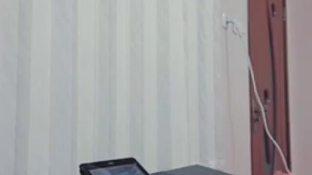 боляарски кючек-2025