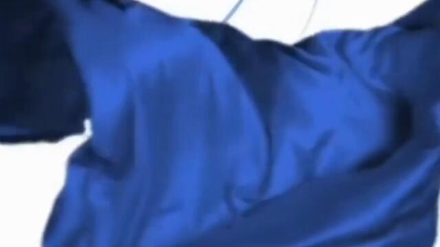 dove_logo_id_animación (720p)