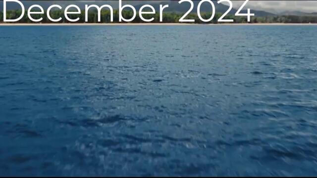 December 2024 in a Nutshell