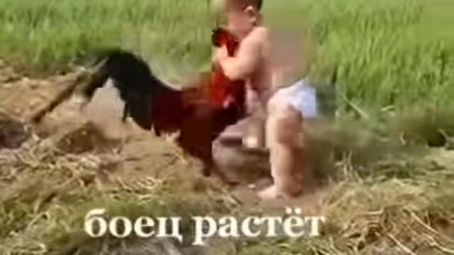 Свободна борба