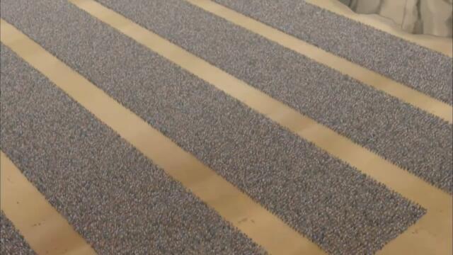 Naruto Shippuuden - 261 BG-Subs