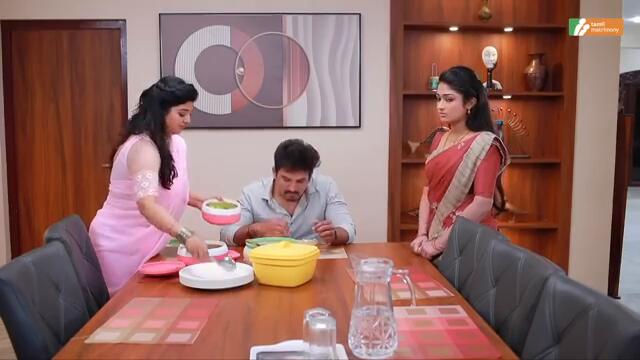 Malli Serial | Episode 274 | 31st Jan 2025 | Nikitha | Vijay | Saregama TV Shows Tamil