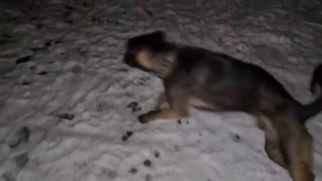 Първи ПОЛЕТ с БЕБЕ