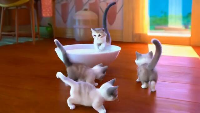 Мяу, мяу, как весело - песни для детей