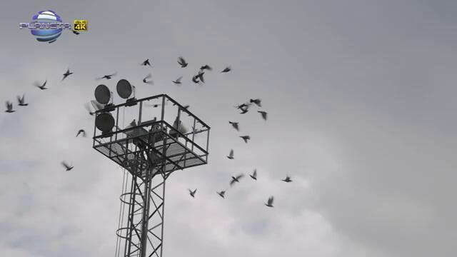 Veselin Marinov - Obicham te do kraya na sveta * Веселин Маринов - Обичам те до края на света | 2025