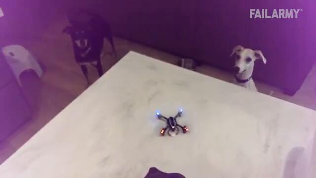 Huge High Tech Fails | Technology Gone Wrong 💻 📡 👾